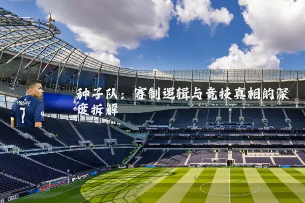 种子队:赛制逻辑与竞技真相的深度拆解